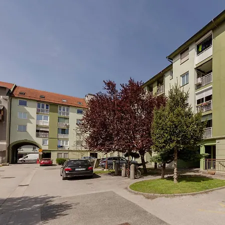 Dse Celje